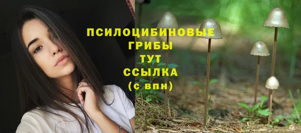 прущий лед Волоколамск