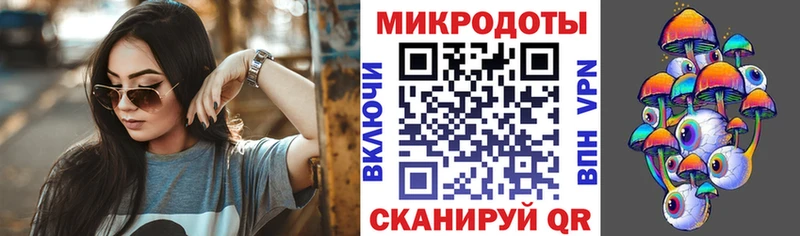 Галлюциногенные грибы Psilocybe  Медынь 